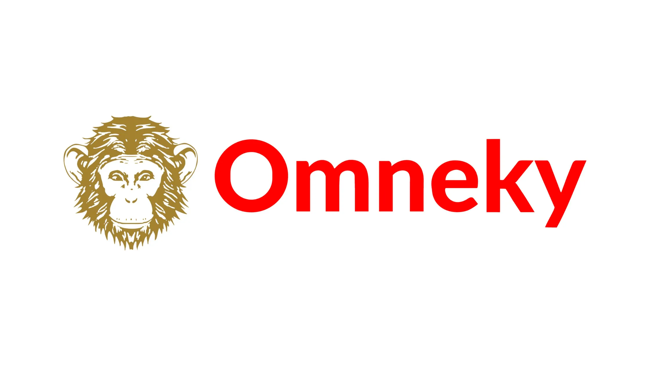 Omneky logo